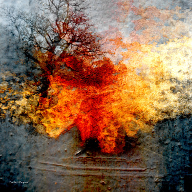 résiste...existe Photographie intitulée "résiste...existe" par Daniel Meynial, Œuvre d'art originale, Photographie numérique