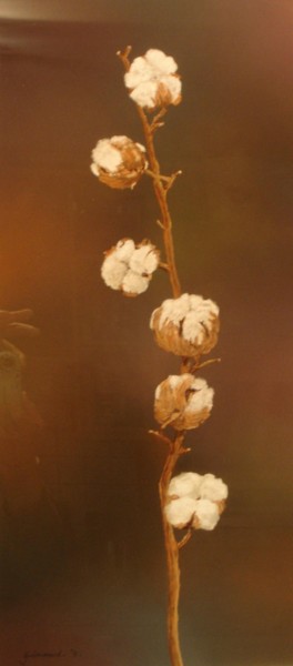 제목이 "Fleur de coton"인 그림 Etienne Guérinaud로, 원작, 파스텔 판지에 장착됨