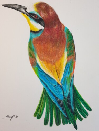 Peinture intitulée "Ave1" par São Vieira, Œuvre d'art originale, Crayon