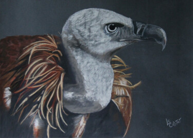Le vautour Peinture intitulée "Le vautour" par Catherine Costet (Lccat), Œuvre d'art originale, Pastel
