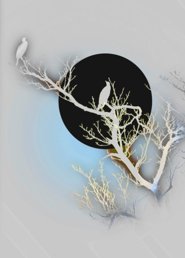 Estampe au soleil noir Photographie intitulée "Estampe au soleil n…" par Michel Guillaumeau, Œuvre d'art originale, Photographie numérique