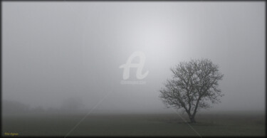 Photographie intitulée "Solitude standing" par Peter Soyman, Œuvre d'art originale, Photographie numérique