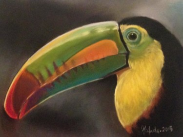 Peinture intitulée "TUCÁN" par Hafida El Oumlouki Shaïmi, Œuvre d'art originale, Pastel