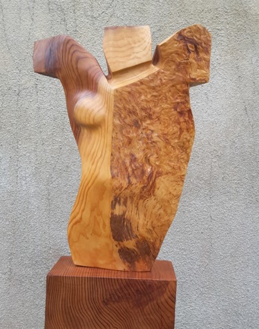 Sculptuur getiteld "Icare" door Maryvonne Lorgeré, Origineel Kunstwerk, Hout