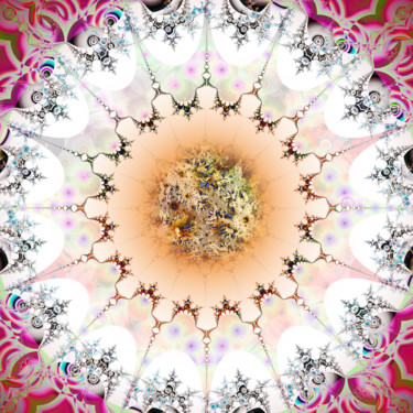 Digital Arts titled "MIRROR WINDOW C" by Paul Pinzarrone, Original Artwork, 2D Digital Work