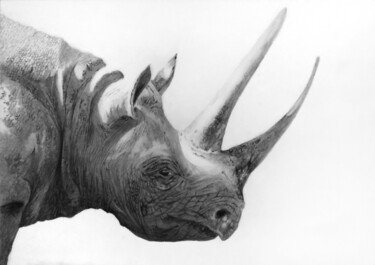 제목이 "Black rhino - 2 , q…"인 섬유 예술 Franzart로, 원작, 연필