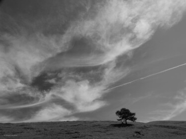 Photography titled "A l'ombre d'un arbre" by Florence Pouget-Landrieu, Original Artwork, Digital Photography