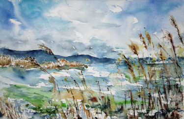 lac de Neuchâtel, réserve naturelle