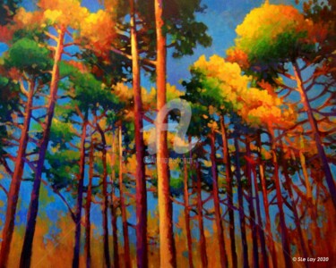 Grande forêt de pins