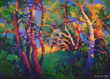 Groupe d'arbres en fin de journée d'été