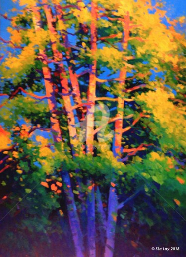 Lumière sur un groupe d'arbres