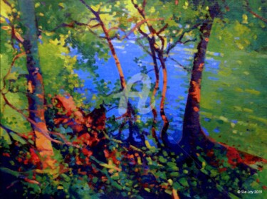 Arbres en bordure de rivière