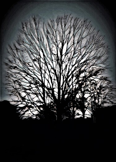 Photography titled "BARE & GORGEOUS!" by Jmsbell, Original Artwork, Manipulated Photography