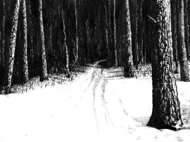 图画 标题为“In the Middle of Wi…” 由Владимир Абаимов, 原创艺术品, 墨