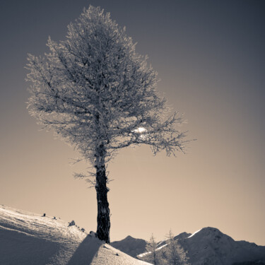 Photography titled "Contrejour" by Guillaume Aveline, Original Artwork, Digital Photography
