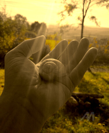 Fotografie mit dem Titel "snail shell in hand" von Gor Don(Gnie), Original-Kunstwerk, Digitale Fotografie