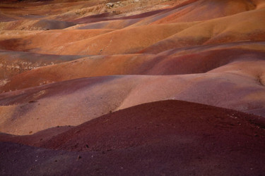 Photography titled "Nées des terres ocr…" by Guy Rieutort, Original Artwork, Digital Photography
