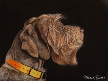 Dessin intitulée "Le beau barbu ...." par Michel Guillet, Œuvre d'art originale, Pastel