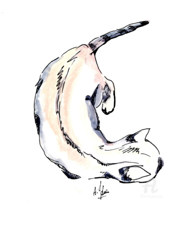 Dessin intitulée "Chat vu du dessus" par Agnès Molinaro, Œuvre d'art originale, Encre
