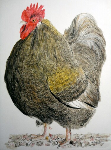 Painting titled "LE  COQ  DE  MARINE…" by Michel Cendra-Terrassa, Original Artwork, Watercolor