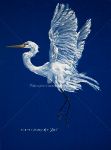 Malerei mit dem Titel "Silberreiher im Flug" von Luethi Alias Abdelghafar, Original-Kunstwerk, Öl Auf Keilrahmen aus Holz mo…