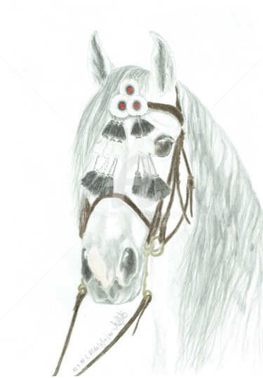 Zeichnungen mit dem Titel "Andalusierhengst mi…" von Luethi Alias Abdelghafar, Original-Kunstwerk, Conté-Buntstifte