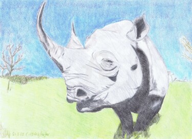 Zeichnungen mit dem Titel "Nashorn" von Luethi Alias Abdelghafar, Original-Kunstwerk, Conté-Buntstifte