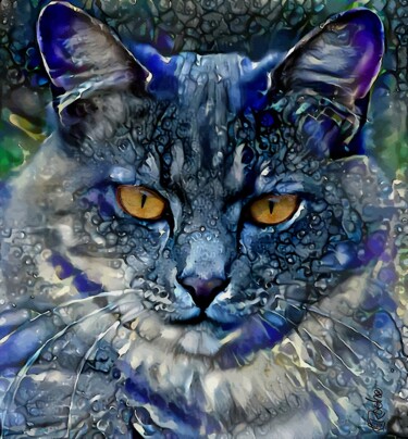 Bleu Doudou - Cat - Mix media - 70 x 65 cm