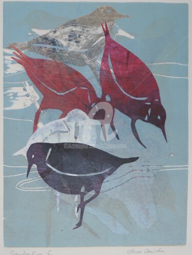 Sanderling 6