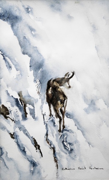 le chamois de dos