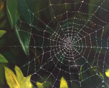 Peinture intitulée "Ragnatela di rugiada" par Michaël D'Auria, Œuvre d'art originale, Huile