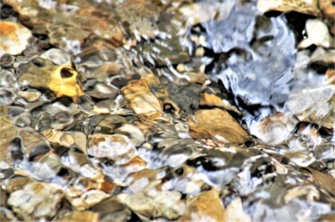 Photographie intitulée "Dans la rivière - R…" par Marie Marlène Mahalatchimy, Œuvre d'art originale, Photographie non manipu…