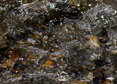 Photographie intitulée "Dans la rivière - R…" par Marie Marlène Mahalatchimy, Œuvre d'art originale, Photographie non manipu…