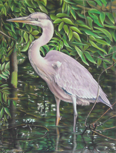 Dibujo titulada "Héron cendré" por Alain Dambès, Obra de arte original, Pastel Montado en Vidrio
