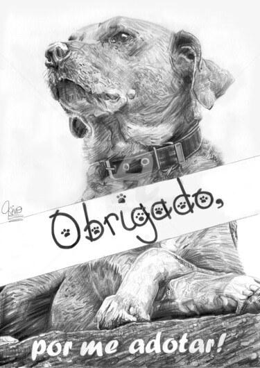 Drawing titled "Retrato a Lápis do…" by Flávio Miranda, Original Artwork, Pencil