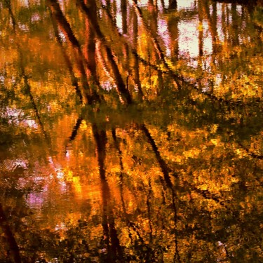 Photography titled "Evening Reflections" by Bavosi Photoart, Original Artwork, Digital Photography