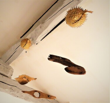Sculpture intitulée "Mobile Sea World" par Jérôme Astruc, Œuvre d'art originale, Bois
