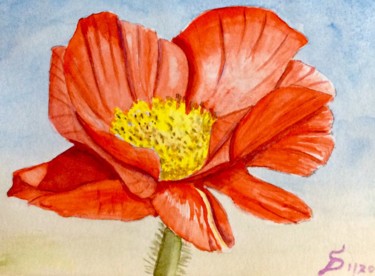 Malerei mit dem Titel "le coquelicot rouge" von Stefan Dhein, Original-Kunstwerk, Aquarell