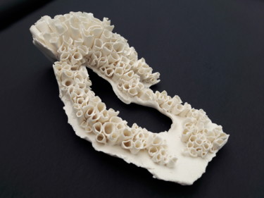 Sculpture intitulée "Concrétions" par Béatrice De Greef, Œuvre d'art originale, Céramique