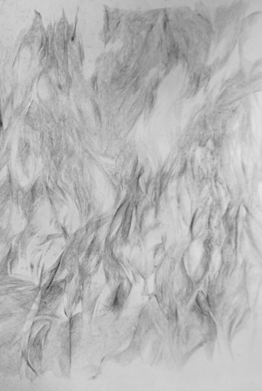peau_aime 21 图画 标题为“peau_aime 21” 由Elisabeth Laplante, 原创艺术品, 铅笔