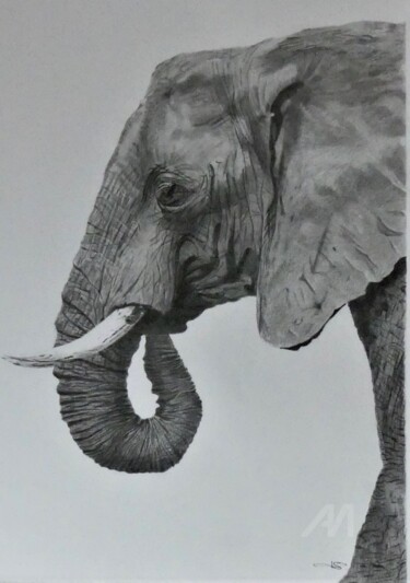 图画 标题为“L'Eléphant” 由Pascale Scheip, 原创艺术品, 石墨