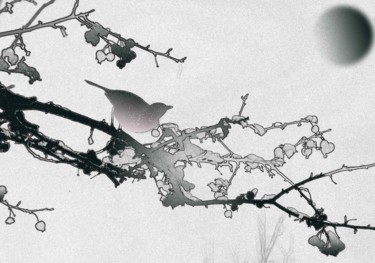 En attendant le printemps Photographie intitulée "En attendant le pri…" par Michel Guillaumeau, Œuvre d'art originale, Photographie numérique