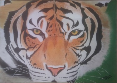 Tekening getiteld "Tigre" door Paxton Tubind, Origineel Kunstwerk, Pastel