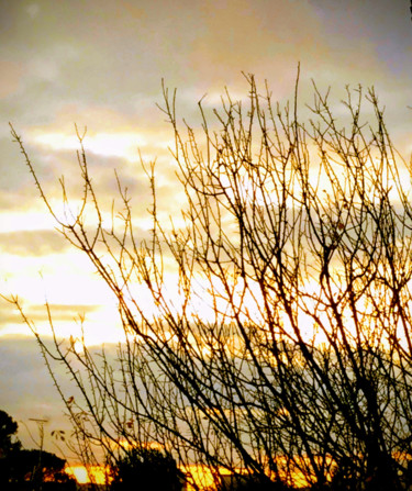 SOIR.........IMPRESSIONS