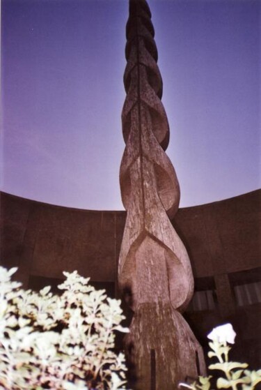 Sculpture intitulée "Signe" par Antoanella Stan, Œuvre d'art originale, Bois