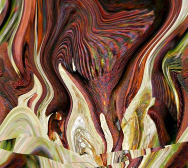 Fotografie getiteld "The pecking hysteri…" door Gerrit Cnossen, Origineel Kunstwerk, Digitale fotografie