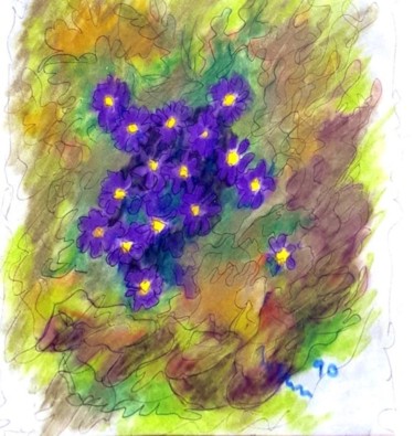 primule viola