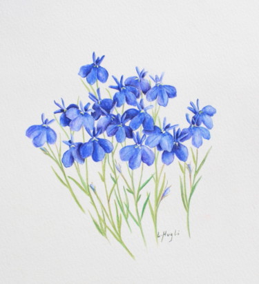 Drawing titled "lobelia" by Laure Ferrando, Original Artwork, Pencil