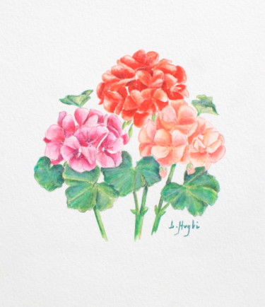 Géranium multicolor Dessin intitulée "Géranium multicolor" par Laure Ferrando, Œuvre d'art originale, Crayon