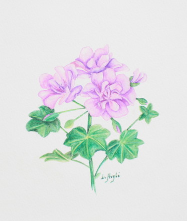 Drawing titled "Géranium mauve" by Laure Ferrando, Original Artwork, Pencil